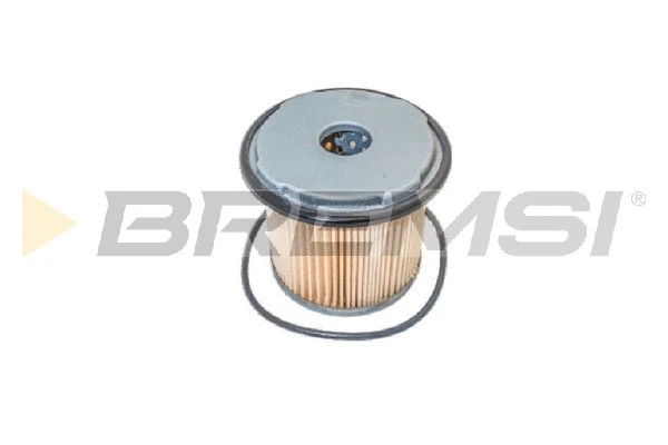 Fuel Filter (FE0765)