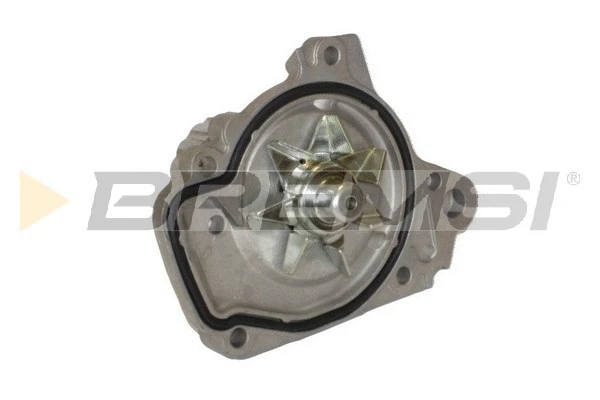 Water Pump, engine cooling (WP0012)