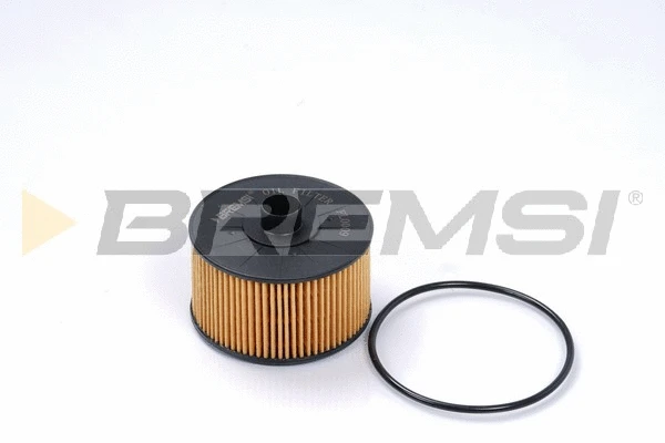 Oil Filter (FL0009)