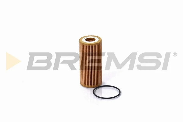 Oil Filter (FL0696)