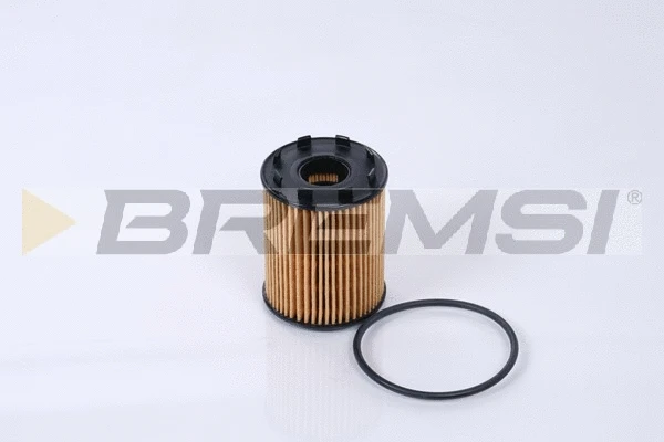 Oil Filter (FL0291)