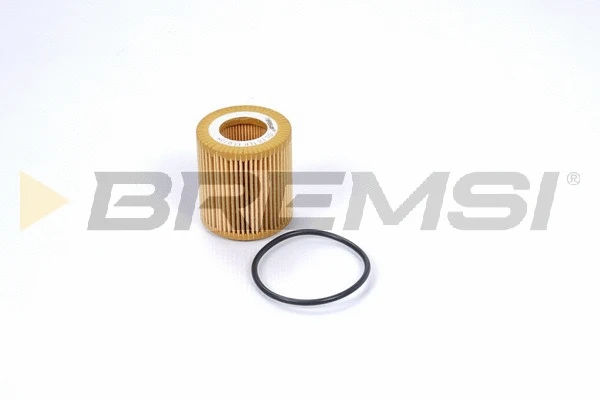 Oil Filter (FL0734)