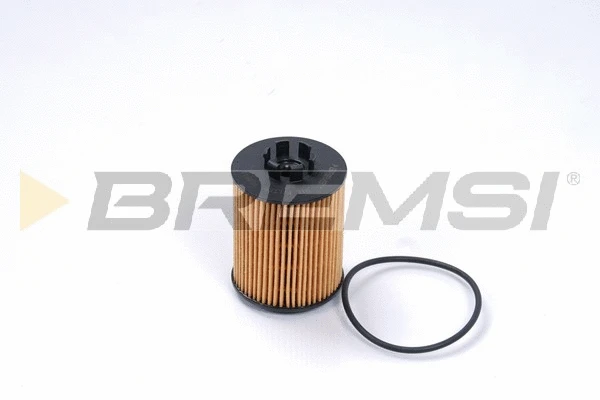 Oil Filter (FL0011)