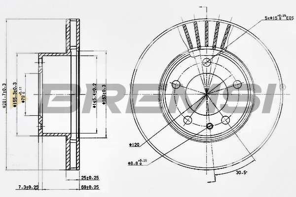 Brake Disc (CD6325V)