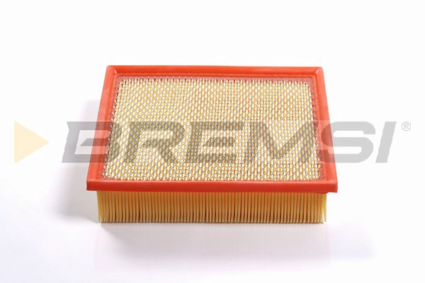 Air Filter (FA2520)