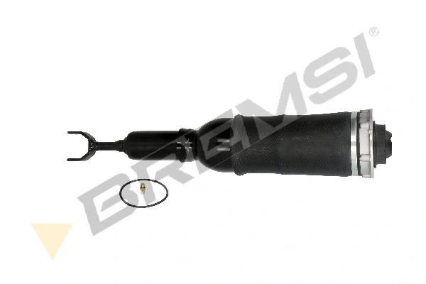 Air Suspension Strut (SA1985)