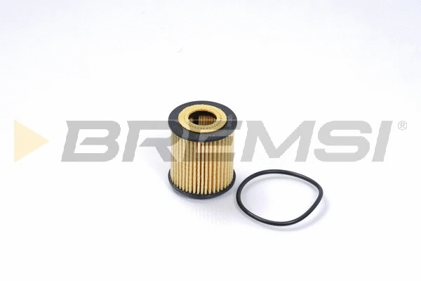 Oil Filter (FL0014)