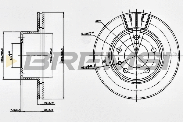 Brake Disc (CD6173V)