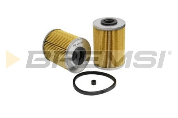 Fuel Filter (FE0153)