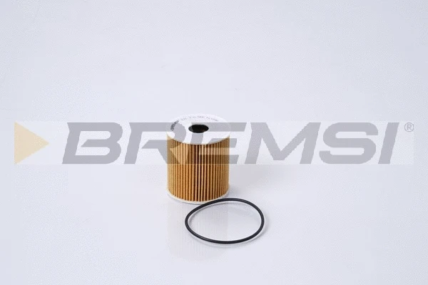 Oil Filter (FL1290)