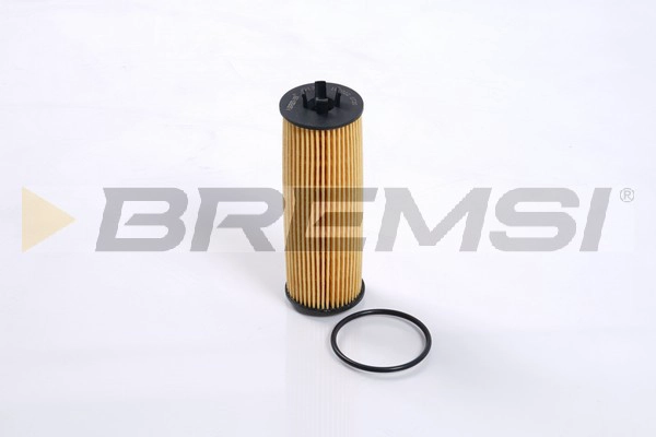 Oil Filter (FL2337)