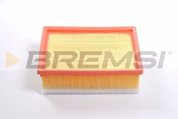 Air Filter (FA2521)