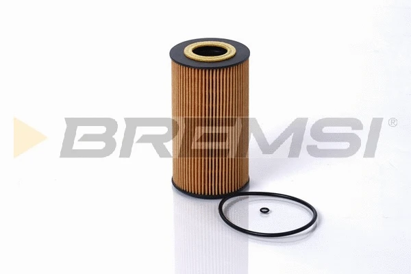 Oil Filter (FL1755)