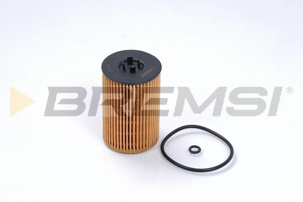 Oil Filter (FL0021)