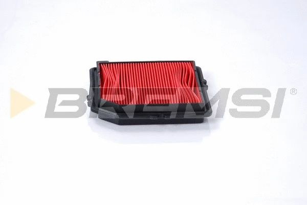 Air Filter (FA1579)