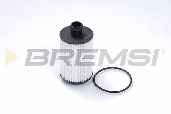 Oil Filter (FL0258)
