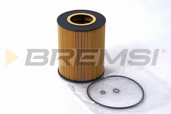 Oil Filter (FL1709)