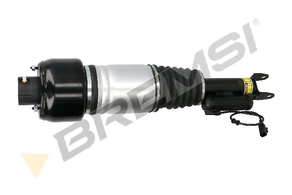 Air Suspension Strut (SA1991)