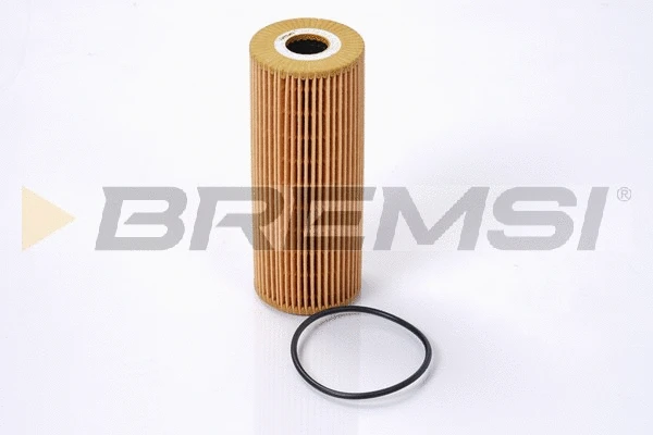 Oil Filter (FL0702)