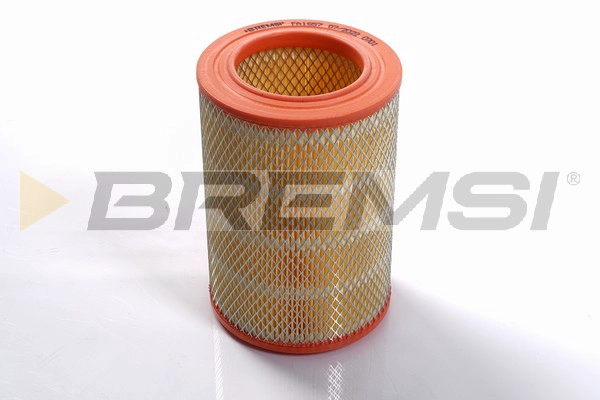 Air Filter (FA1657)