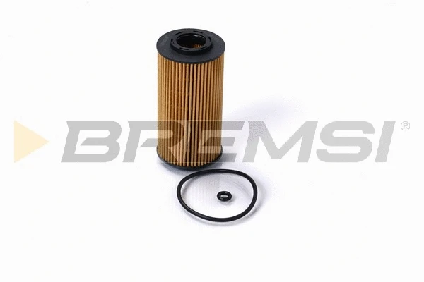 Oil Filter (FL0700)