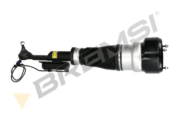 Air Suspension Strut (SA2049)