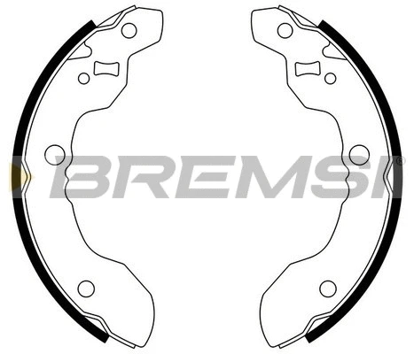 Brake Shoe Set (GF0921)