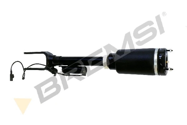 Air Suspension Strut (SA2058)