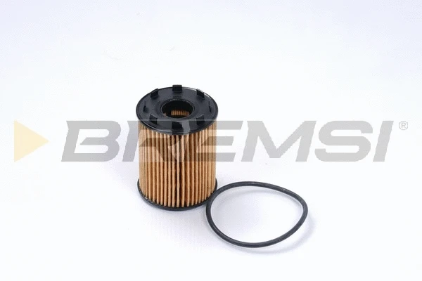 Oil Filter (FL0136)