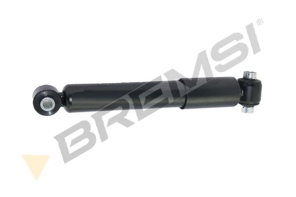 Shock Absorber (SA2176)