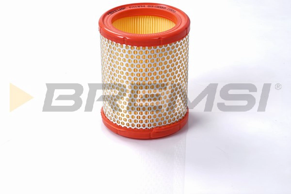 Air Filter (FA1374)