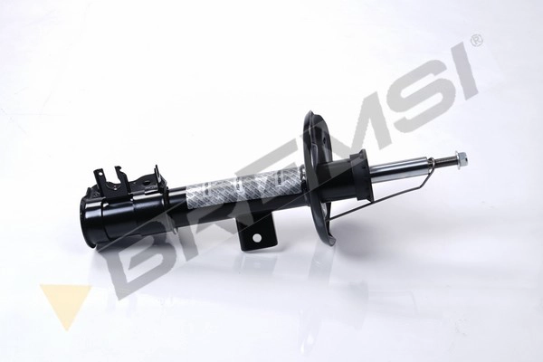 Shock Absorber (SA2244)