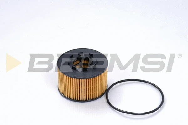 Oil Filter (FL0259)