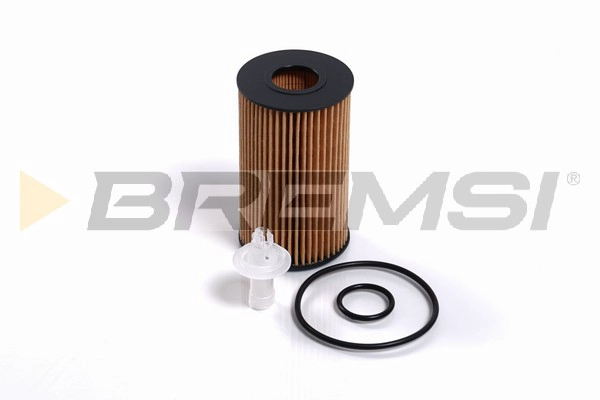 Oil Filter (FL2462)