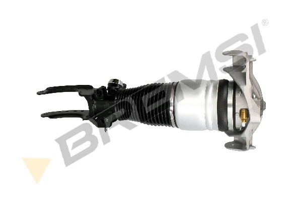 Air Suspension Strut (SA1932)