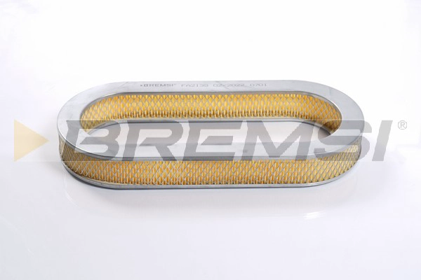 Air Filter (FA2139)