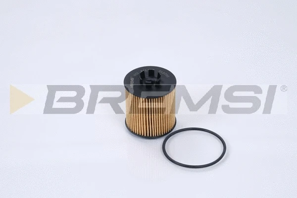 Oil Filter (FL0705)