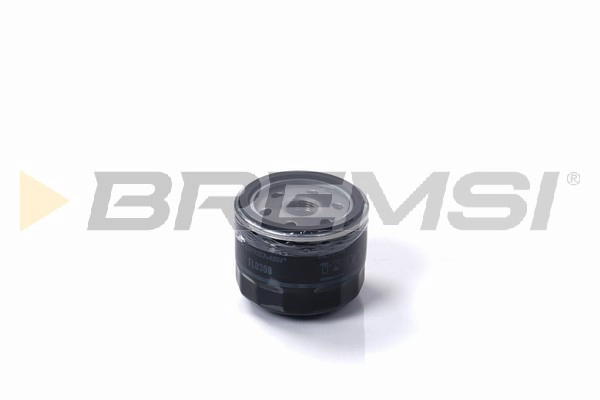Oil Filter (FL0308)