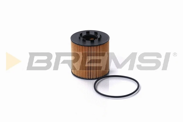 Oil Filter (FL0693)