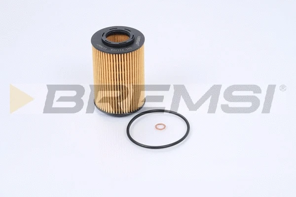 Oil Filter (FL0687)