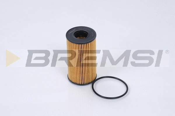 Oil Filter (FL0728)