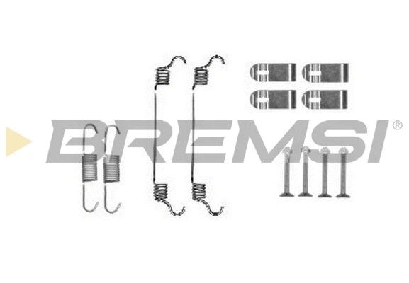 Accessory Kit, brake shoes (SK0019)
