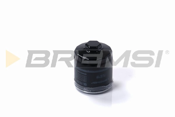 Oil Filter (FL0719)