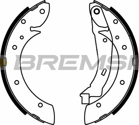 Brake Shoe Set (GF0106)