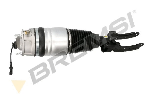 Air Suspension Strut (SA2044)