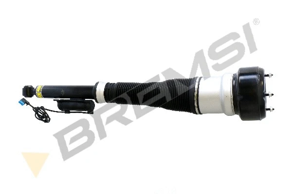 Air Suspension Strut (SA2056)