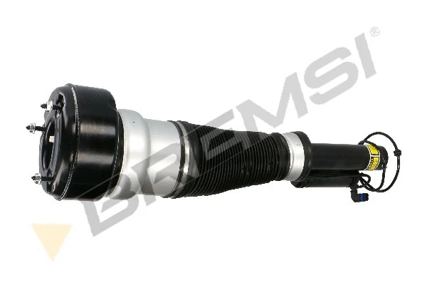 Air Suspension Strut (SA2057)