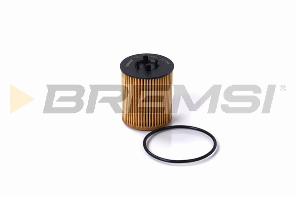 Oil Filter (FL1286)