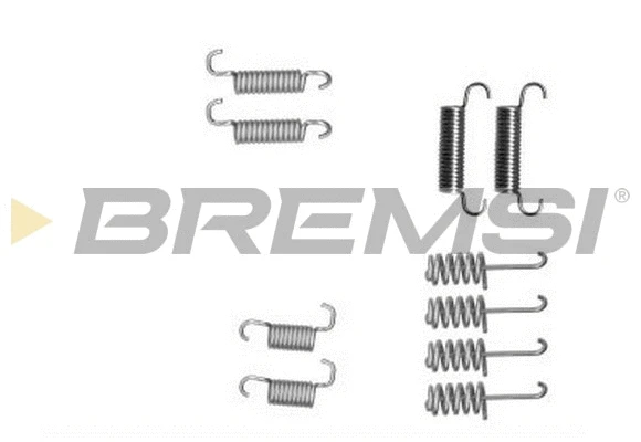 Accessory Kit, brake shoes (SK0004)