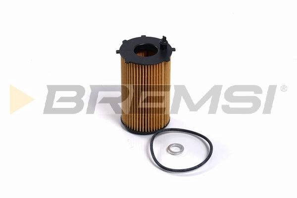 Oil Filter (FL2461)
